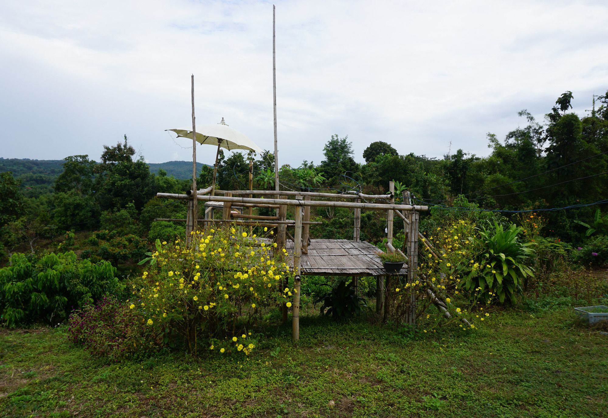Baan 2 Dao Farmstay - Hostel Chiang Dao Eksteriør billede