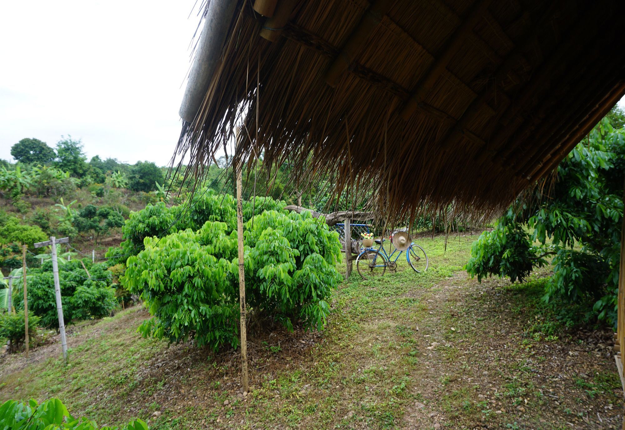 Baan 2 Dao Farmstay - Hostel Chiang Dao Eksteriør billede