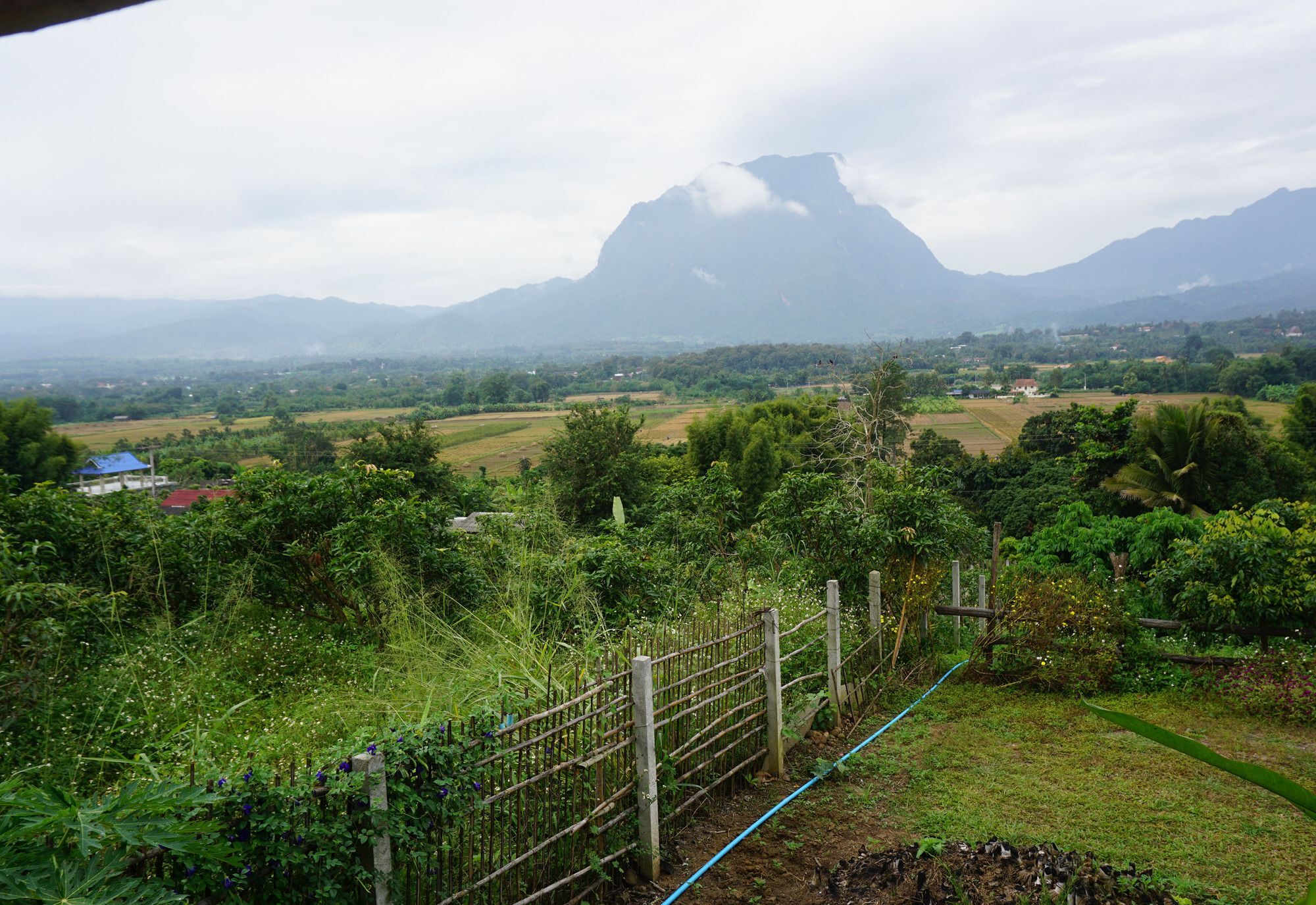 Baan 2 Dao Farmstay - Hostel Chiang Dao Eksteriør billede